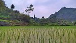 南丹县风光