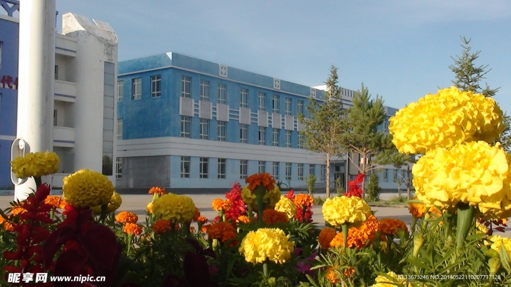 恰库尔图镇中小学