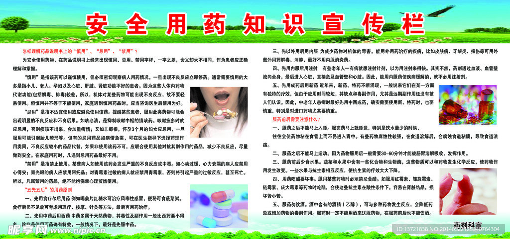 展板 草地