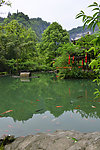重庆 酉阳