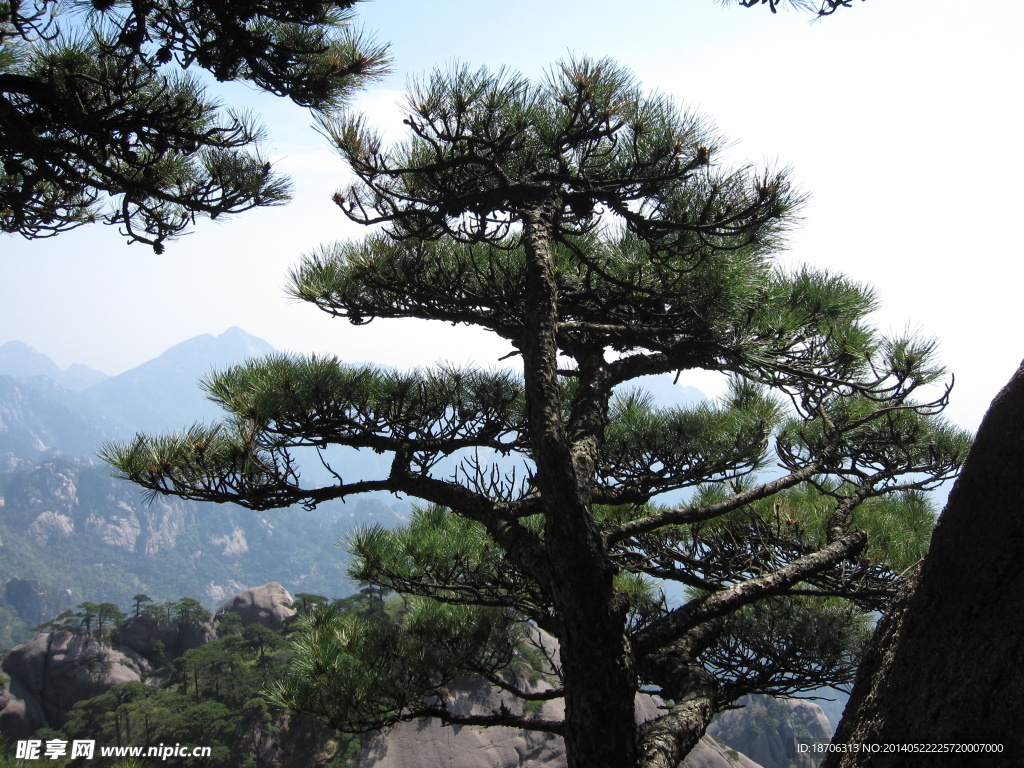黄山