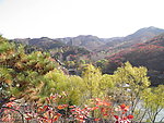 山区之景