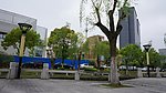春天街道小区周边风景