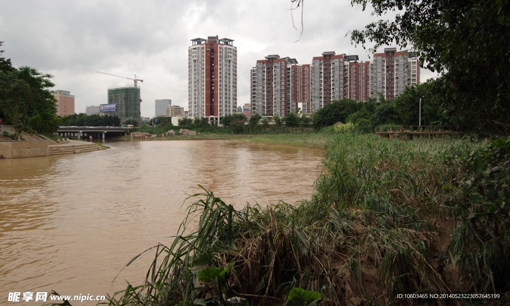 深圳龙岗河景观