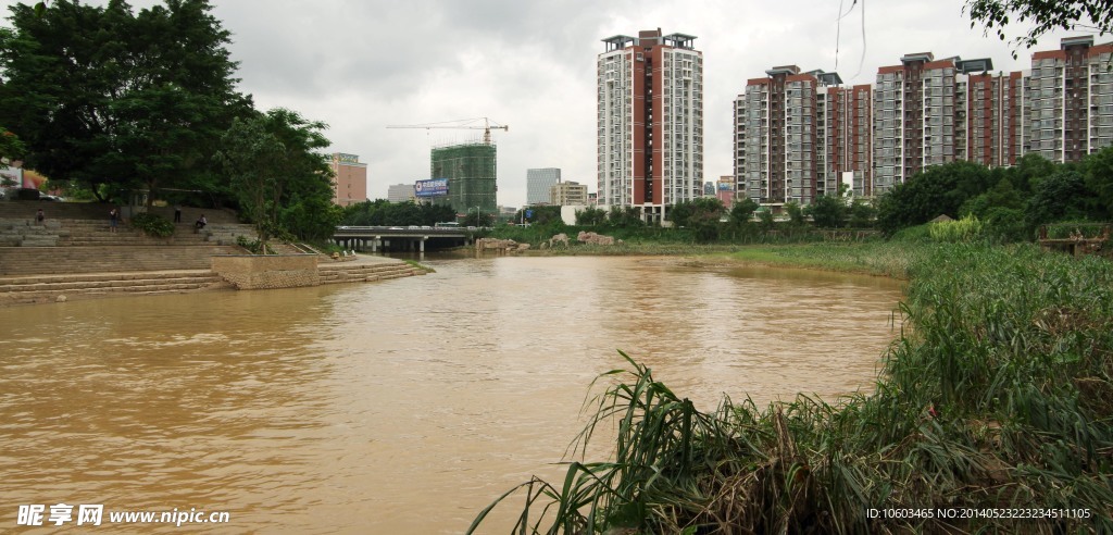 深圳龙岗河景观