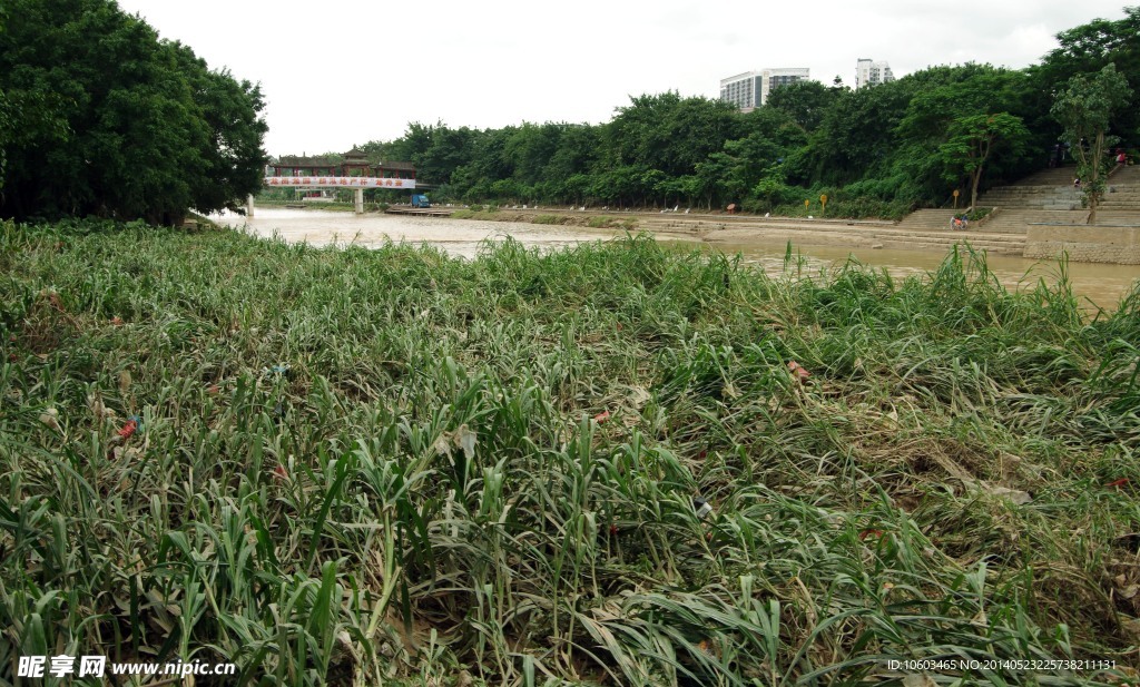 深圳龙岗河景观