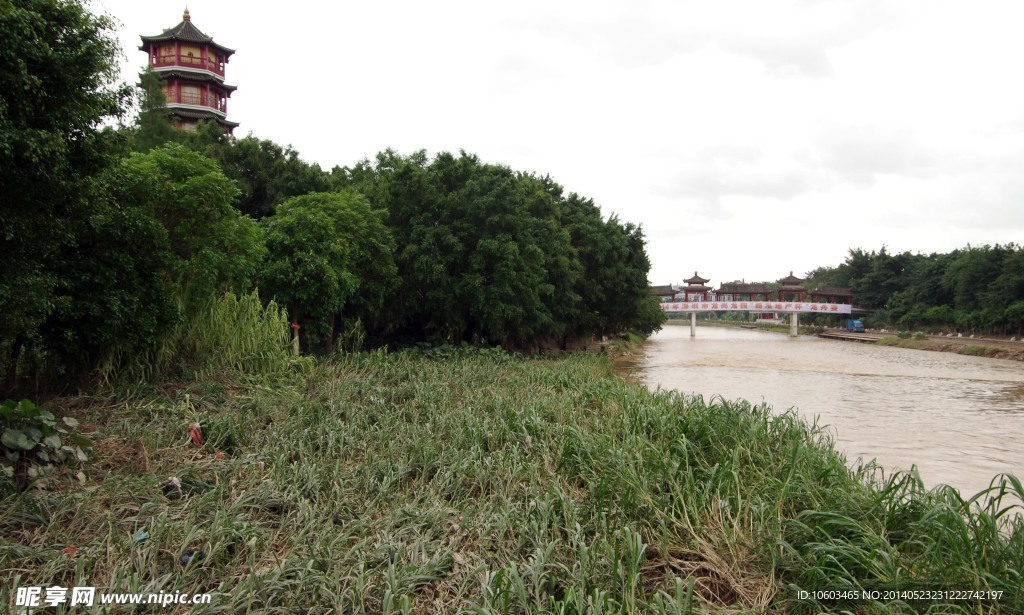 深圳龙岗河景观