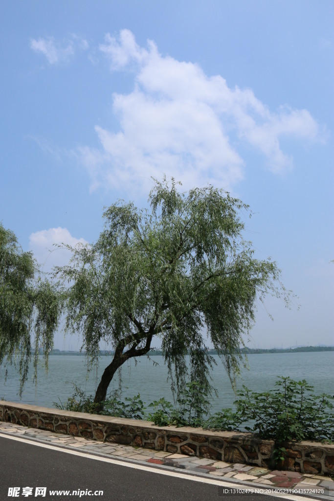 东湖风光