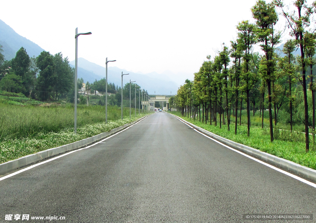 道路