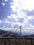 藏族祭祀 旗