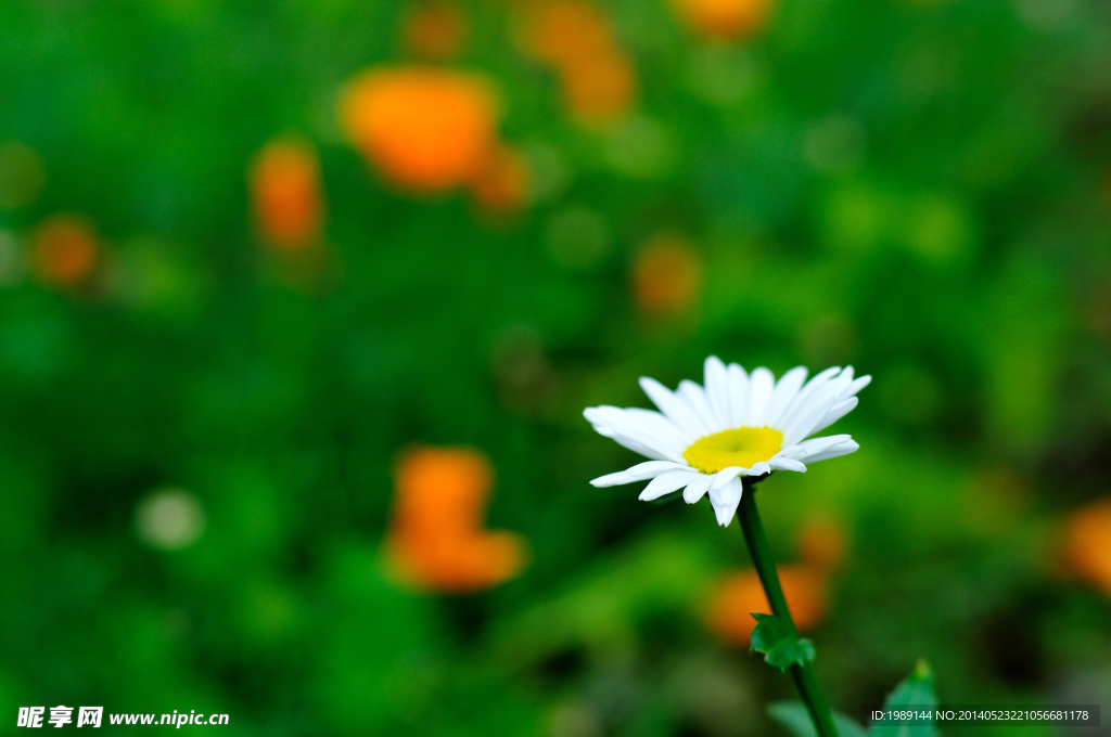 小花