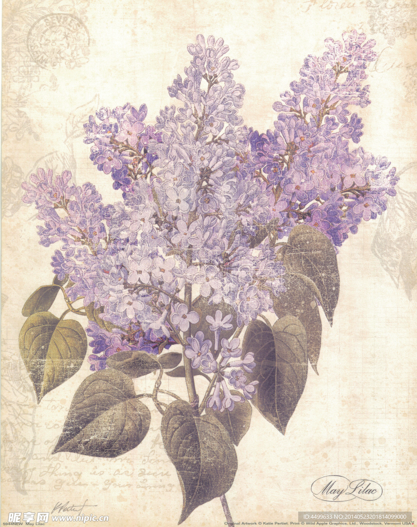 花卉 无框画