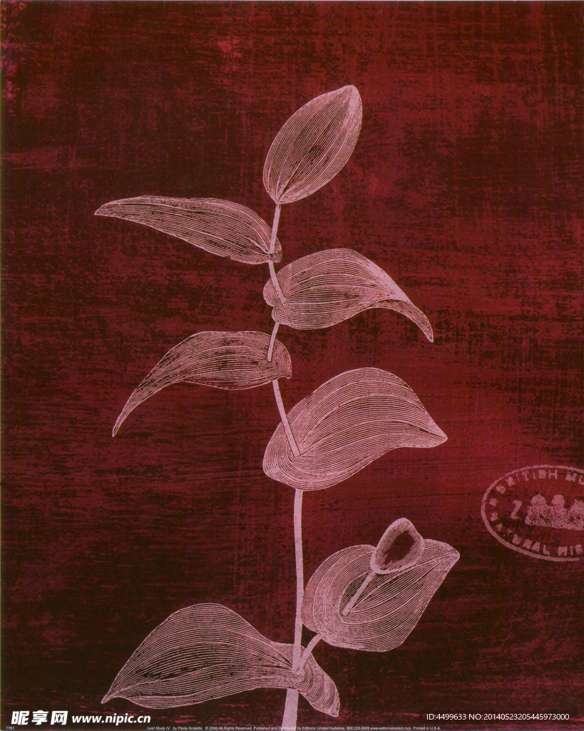 植物 装饰画