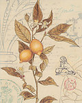 植物 装饰画