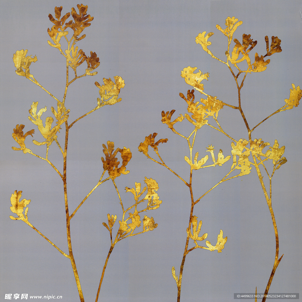 植物 无框画