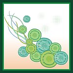 花纹