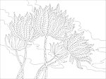 玻璃花纹