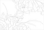 玻璃花纹
