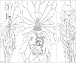 玻璃花纹