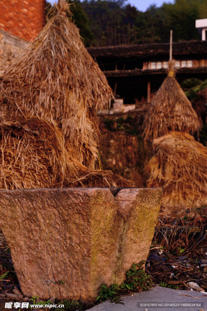 小舟山村 青田