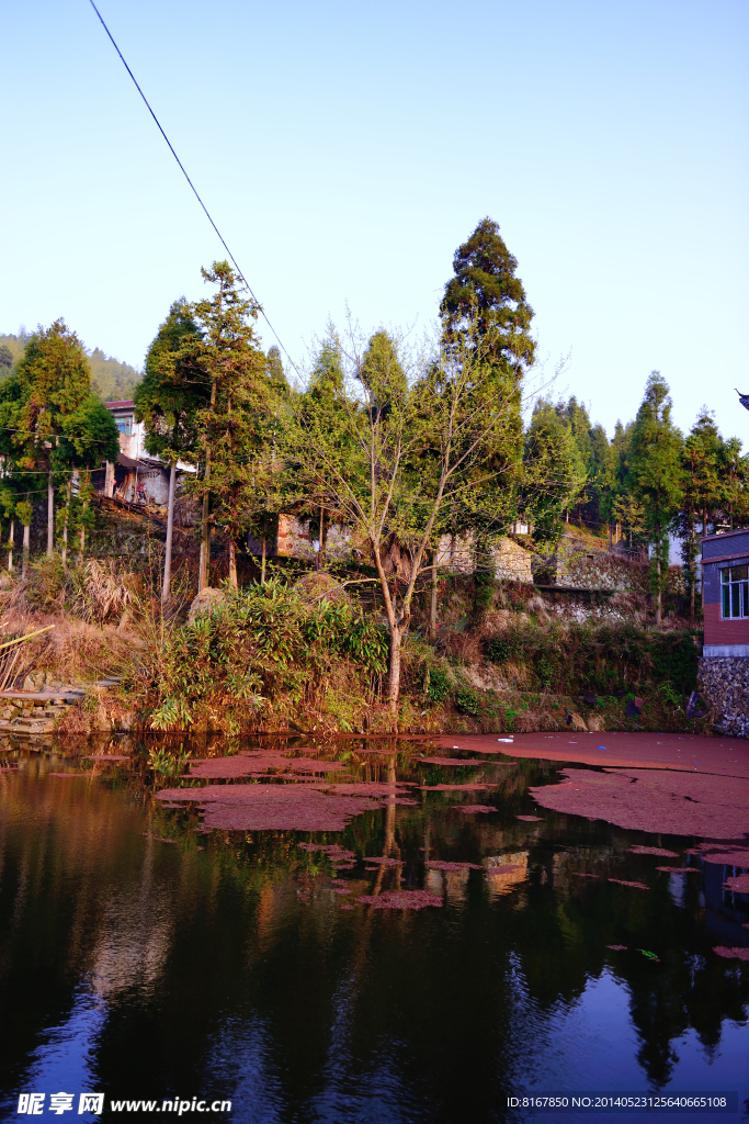 小舟山村 青田