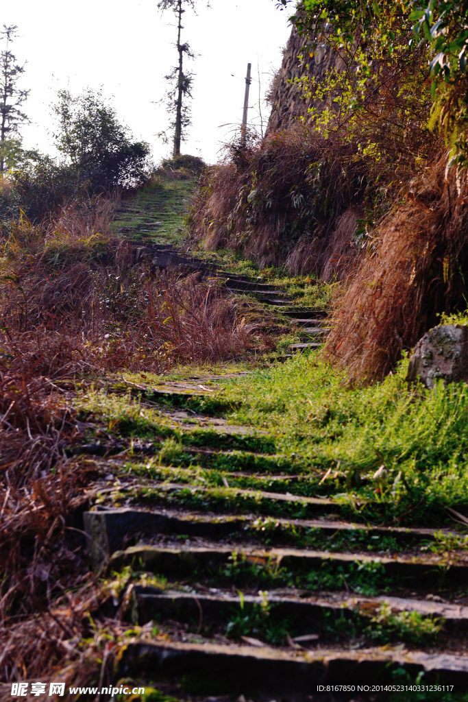 小舟山村 青田