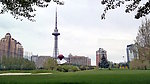 龙塔
