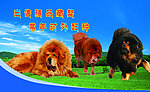 名片