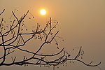 夕阳