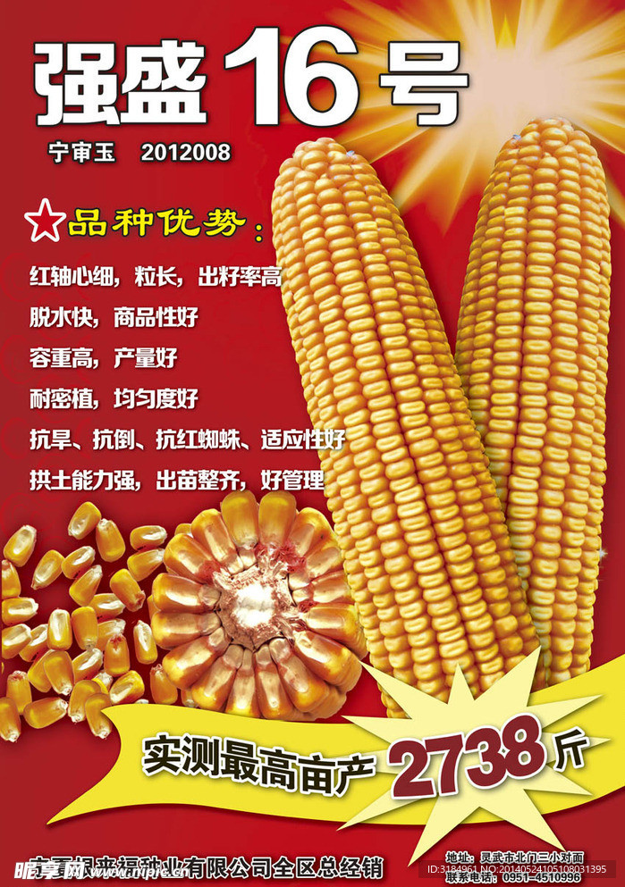 玉米种子海报