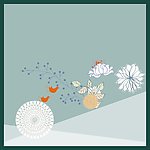 花纹