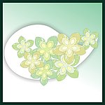 花纹