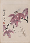 花卉 草虫 螳螂 蝉