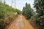 土路