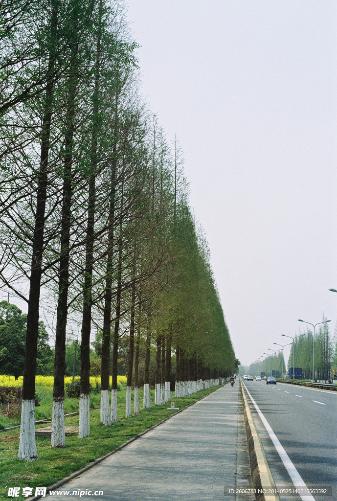 沪青平公路