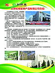 知蜂堂