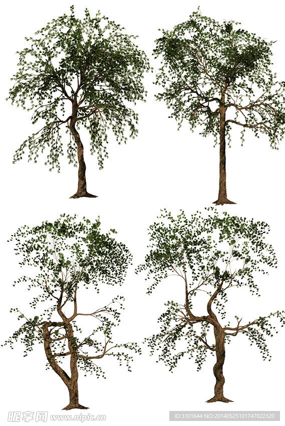 3D树素材