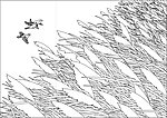玻璃花纹