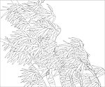 玻璃花纹