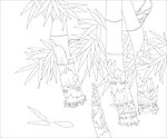 玻璃花纹