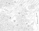 玻璃花纹