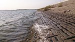 浪花