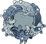 青蛙