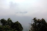 神龟出海
