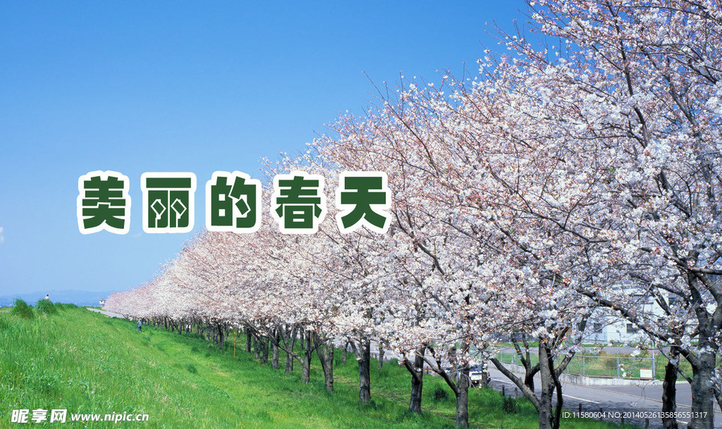春天的美景
