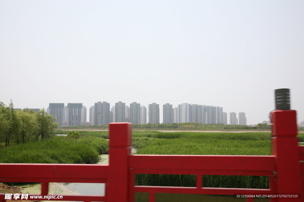 湿地
