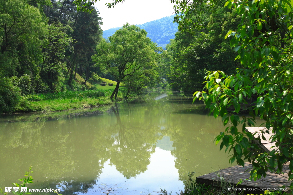 湿地公园