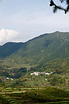 青山绿地