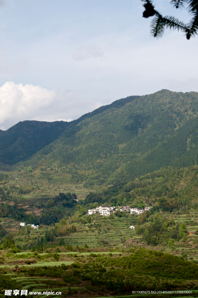 青山绿地