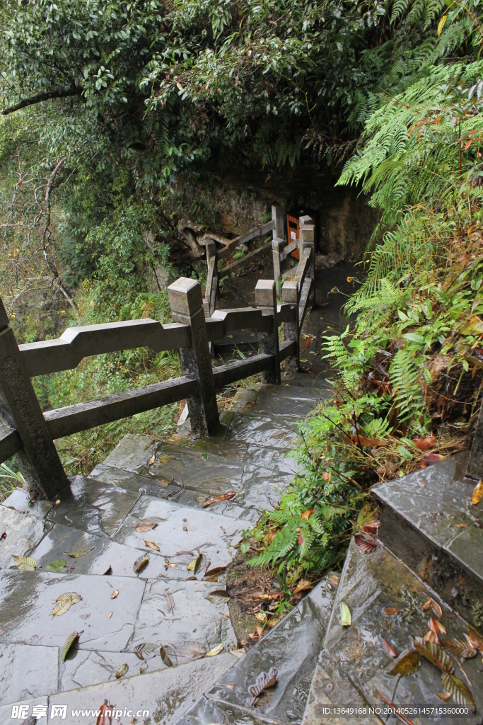 大明山 大峡谷 阶梯